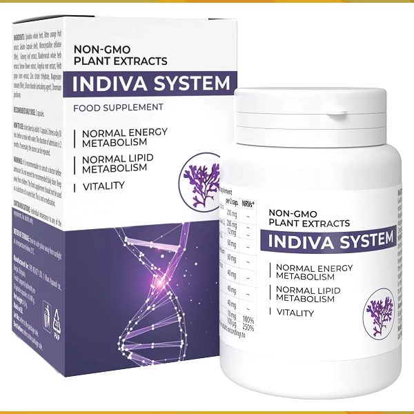 InDiva System